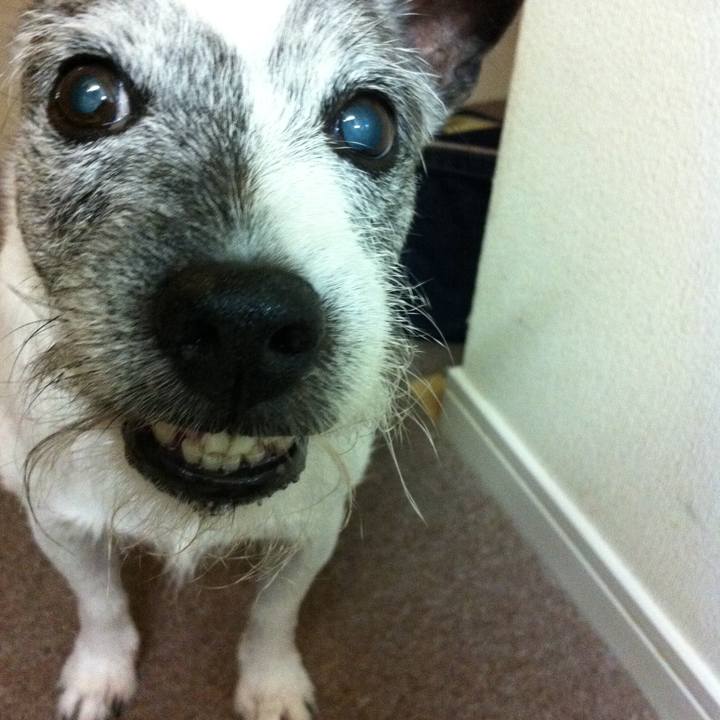 1b7fb98c dbc3 44c8 919a 4dd7880dc1aa