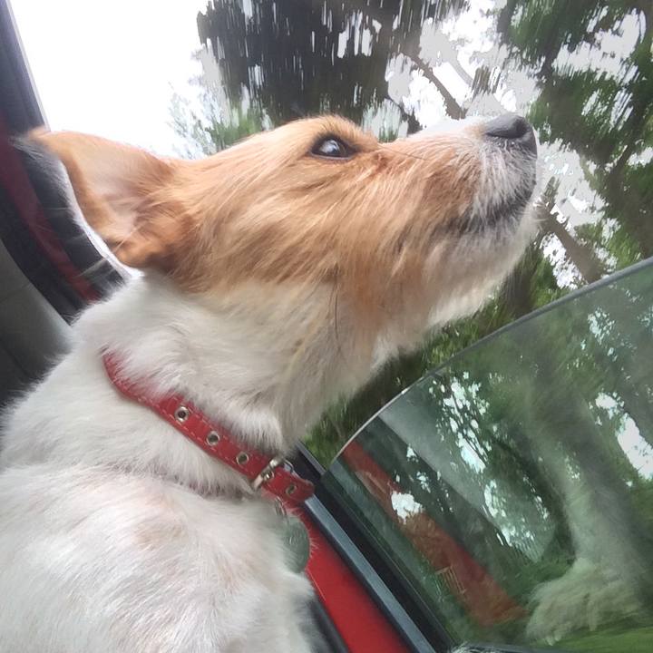 1b7fcc7e 2724 4235 af54 378a881b3520