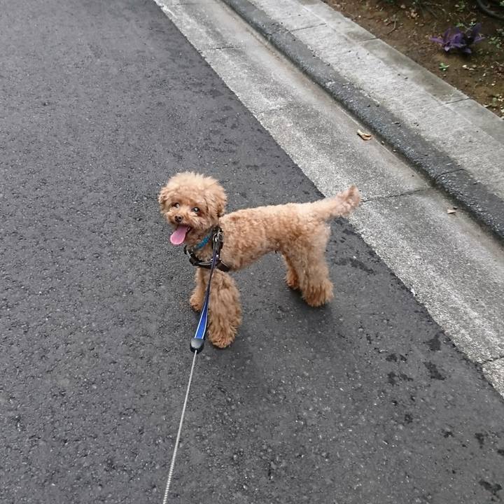 1b8068a9 c2f6 4127 aa52 e5945f22fbf9