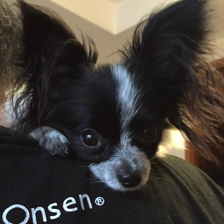 1b8196e6 7737 41eb 848e 50eca9ab3174