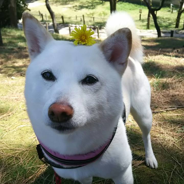 1b81f1f3 e65b 47d6 a801 fe199f546790