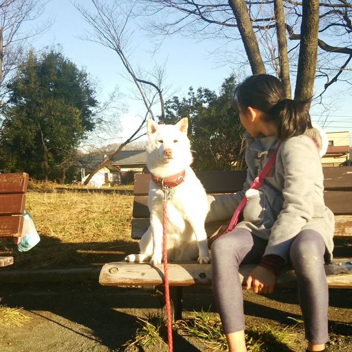 1b83201c 6402 4c5f a507 147c347dbf8c