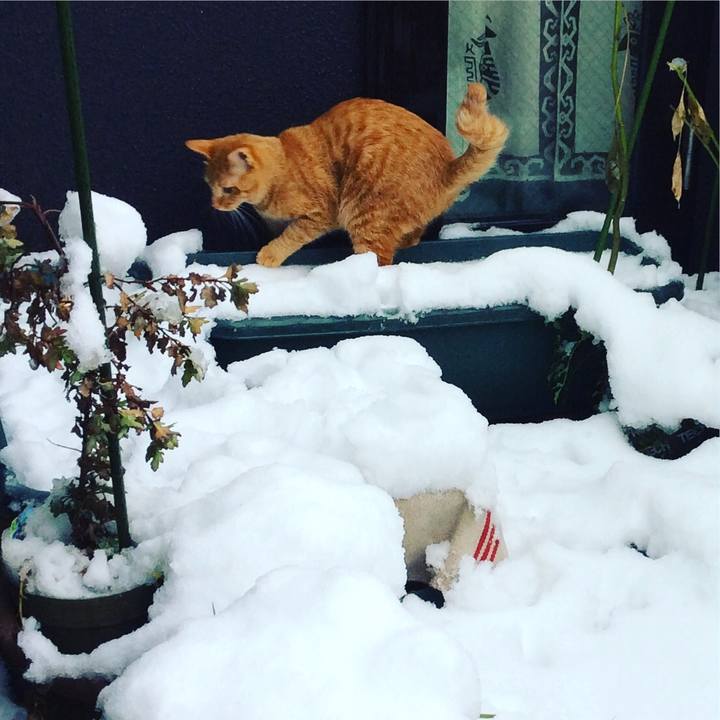 1b833eab ab3f 431e a483 05252fdd8f40