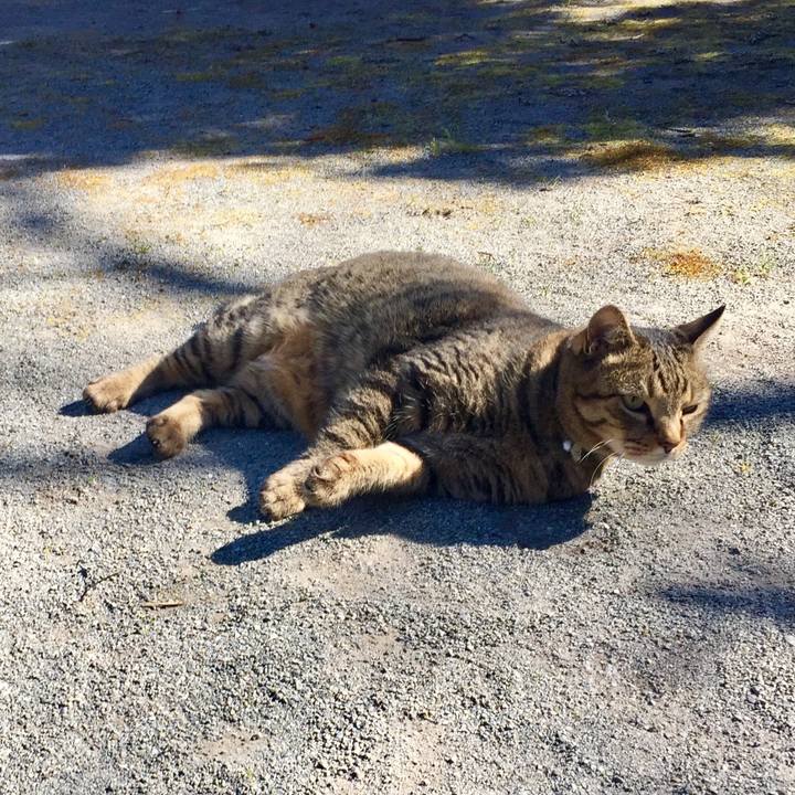 1b83557b ab2a 4bdf 907c eedb4960031f