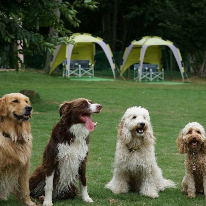 1b84acca ce4a 4a95 858a 475d33b5c531