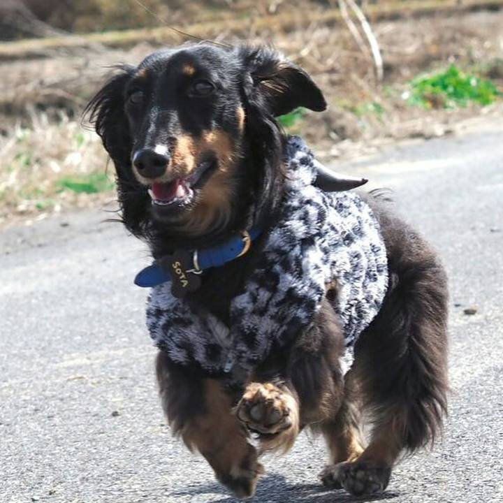 1b8507af bbd1 46bc 883e d0960e024197