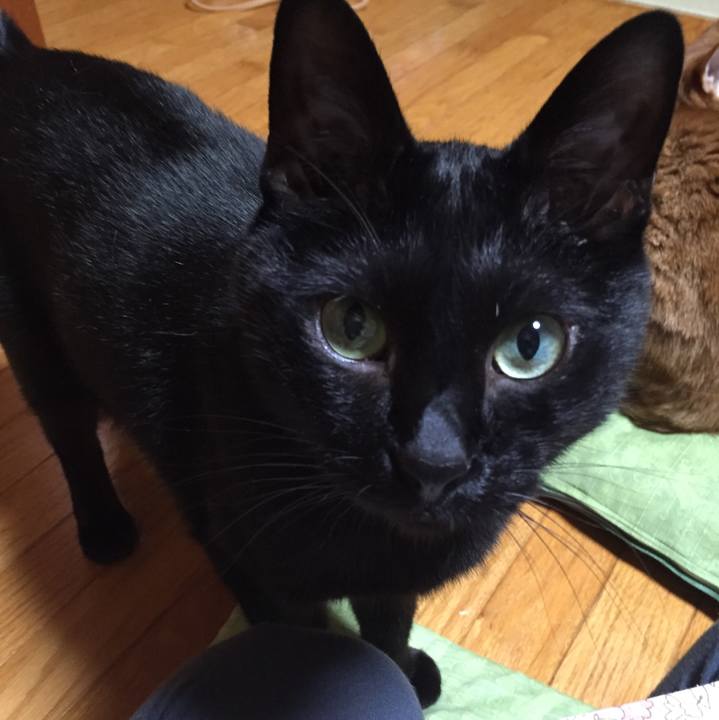 1b854df6 9737 47ad afab 4cad65563f94