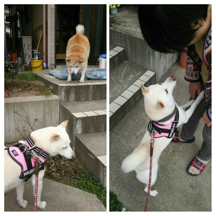 1b861cec 76ff 4dc5 b041 30360f199c45