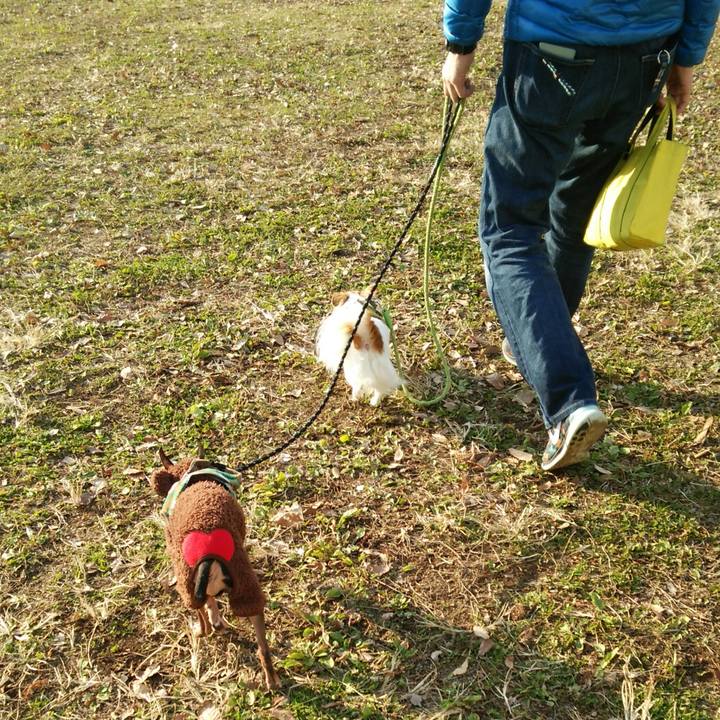 1b862ccb c2a9 4d2d 90c8 acb406ab8603