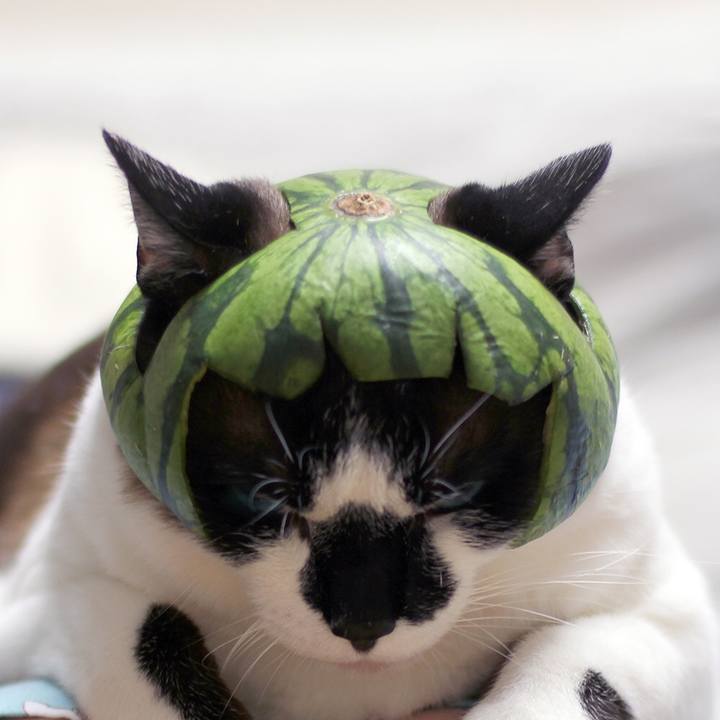 1b86526a 7ee1 40c9 b114 2ad53f3f9cad