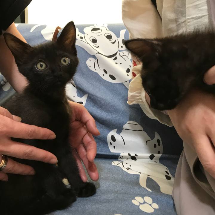 1b872a46 8f55 4be8 baf7 c6f466cb970d