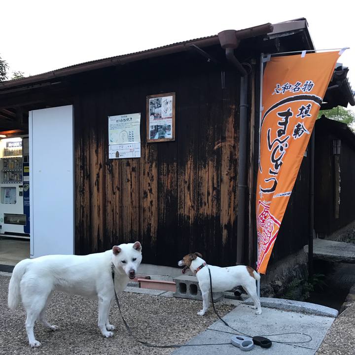 1b8775e8 4f0e 411e b9cb dabbceb9af59