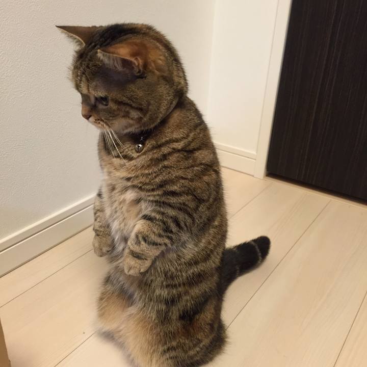 1b878a72 fda9 4b3b bd26 112787e32182