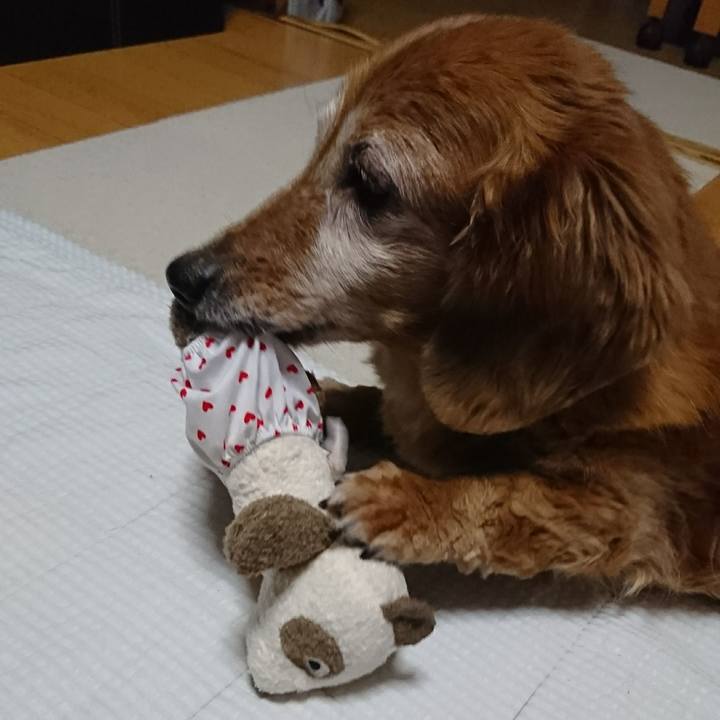 1b881dd6 f00d 4cbd 9452 845b1eb95945