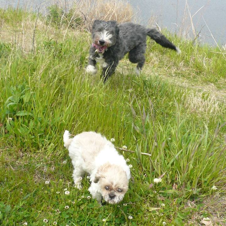 1b88d634 615d 4dfd ae32 02ce8d9a6ed2