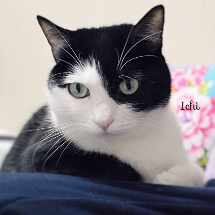 1b89a117 7455 4cf7 9ce6 c731bf57a97e