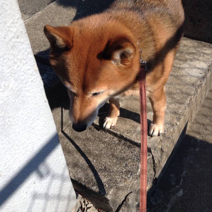 1b89e94e b880 47fb 8b8b d50424e3a02b