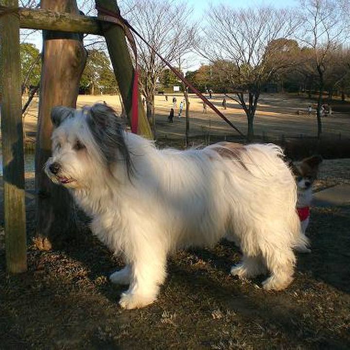 1b8a60b3 d1b1 4024 9db5 3fd49256e95f