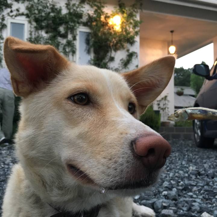 1b8ac5ad 84c4 4304 a513 198a78ace5ac