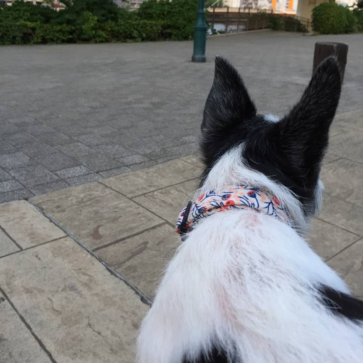 1b8be15b dc00 4ed3 89cc 07bbf933785a