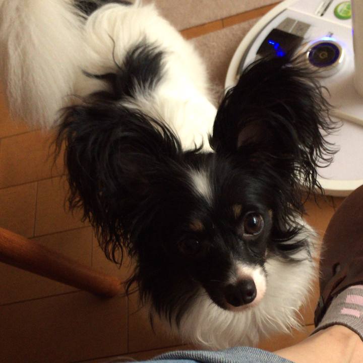 1b8c2683 5aae 4fd3 a794 376c7acf4896