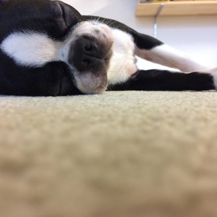 1b8c2f48 141c 4f34 9791 cdbd460f2b1d