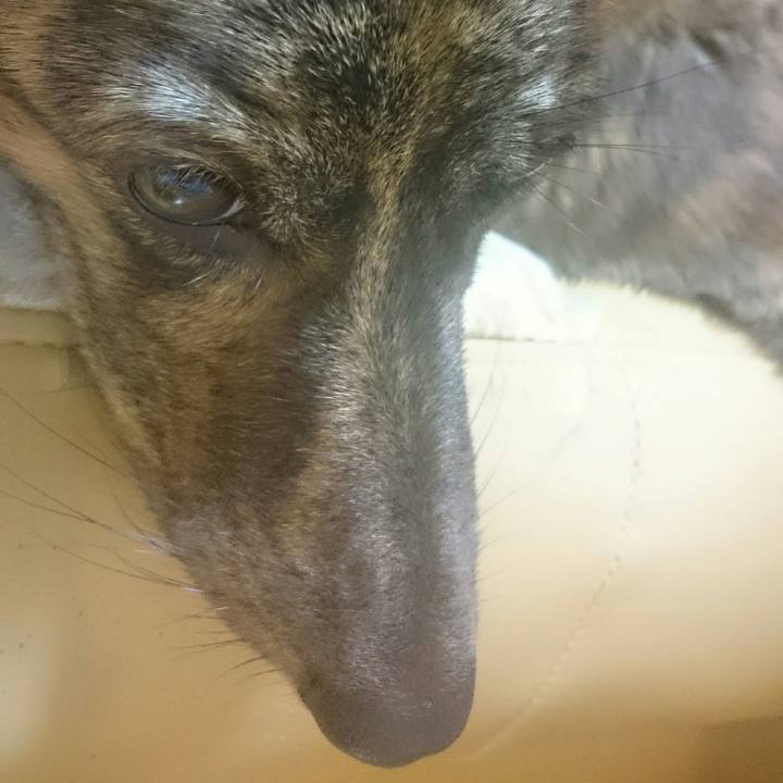 1b8c5498 4d0d 4f65 ba09 ccc580ce9cf4