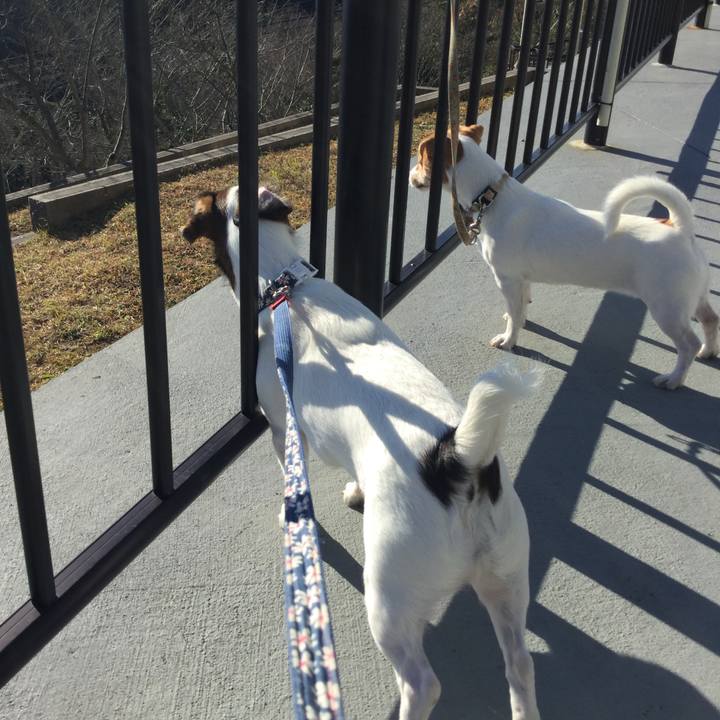 1b8c8620 705c 423c 90d7 6cb4abc2bddb