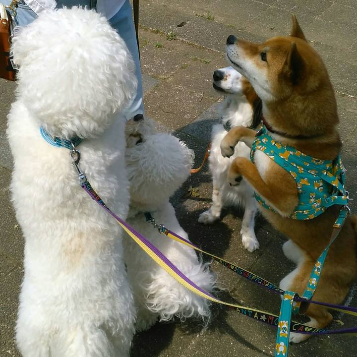 1b8cbd0b 170e 4a07 92ac 2ed2320e3d12