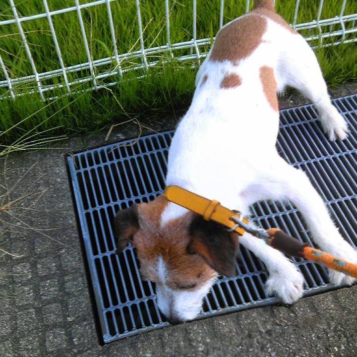 1b8d38e3 8dcf 4323 b048 6c42b91868cb