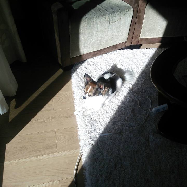 1b8e237b 7e22 4731 a95c fafb9a468b4f