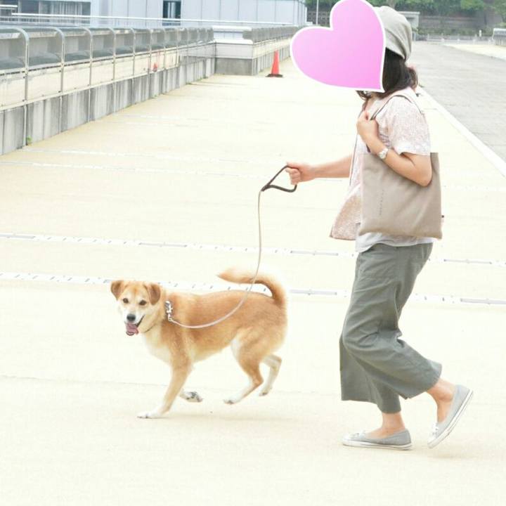 1b8e5714 c9b2 42af 969a 7c09898b9092