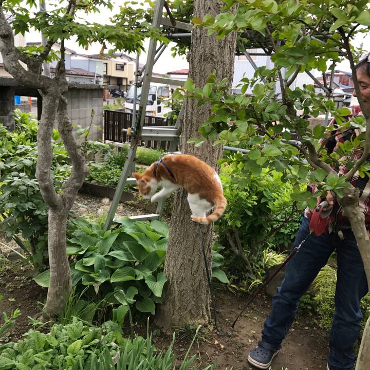 1b8e771f bc45 4568 85de 25dffbc347dc