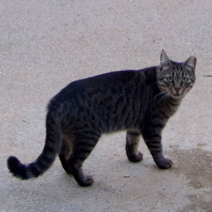 1b8e7eaa 5e6b 42bd b90e a406b65dd10b