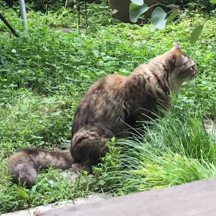 1b8f0a41 152d 48b0 990d d5ae2c099fd0