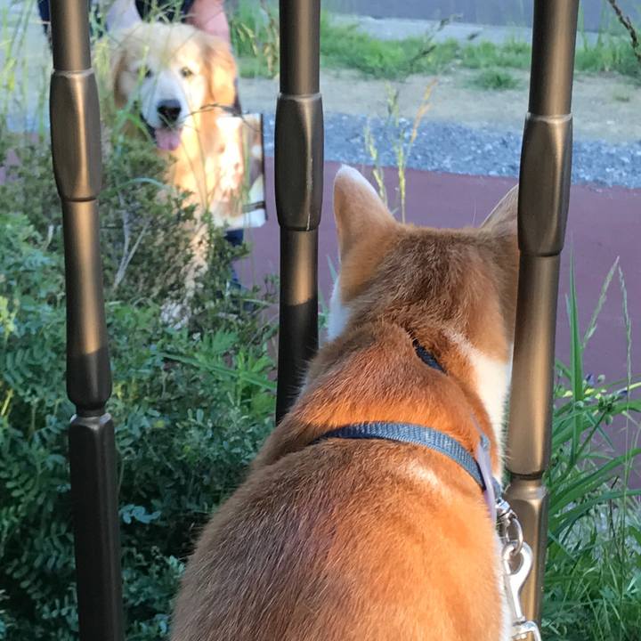 1b8f4f8e 386f 4d87 a611 f59d6c5bbf79