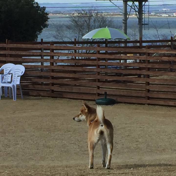 1b8f9647 2b82 416c ab00 1501583f7897