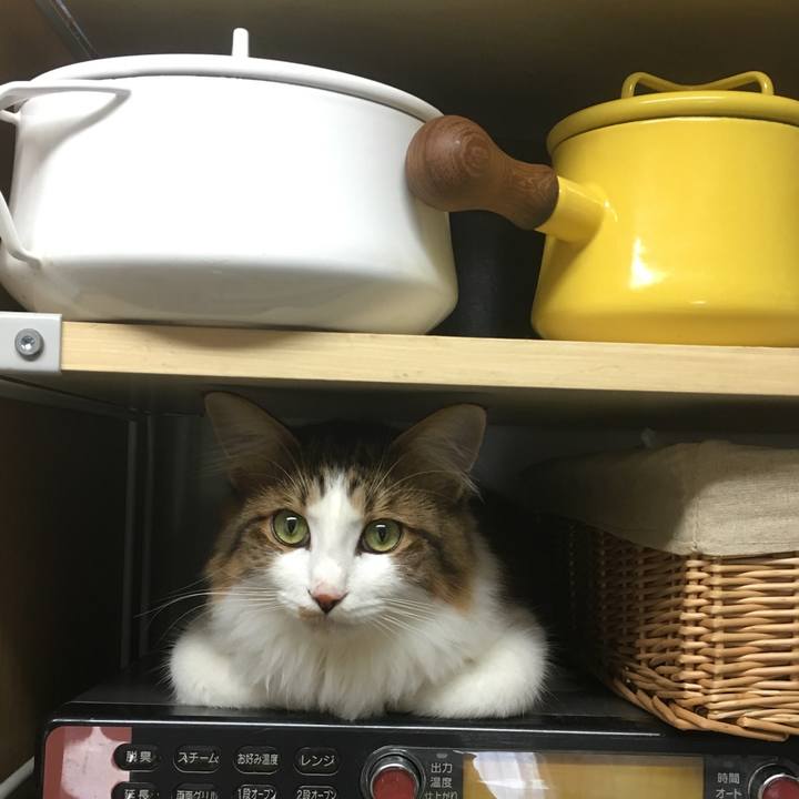 1b901262 13d3 4d86 b234 c08909919420