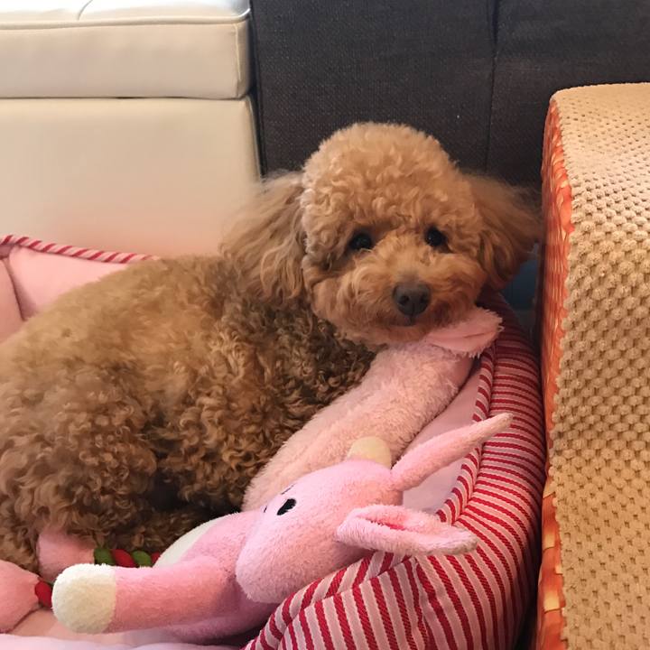 1b901b61 dc3b 4906 a30b 394d4989bd6b