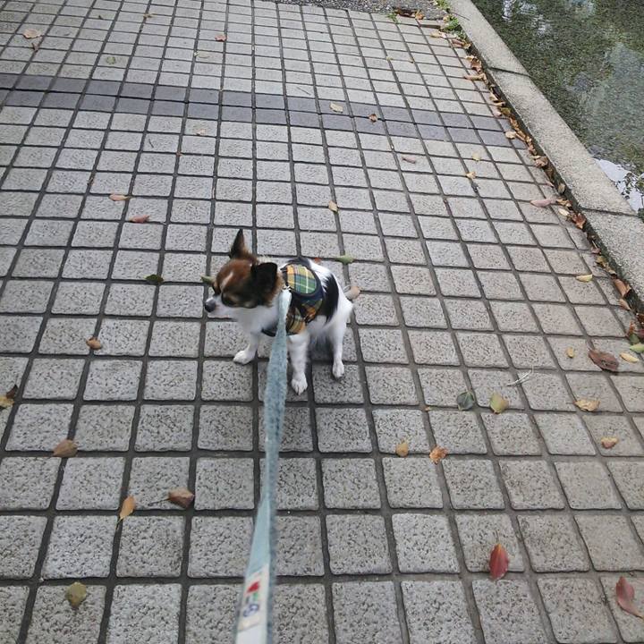 1b908ac1 e31d 4ca7 a657 1a381e5d6638