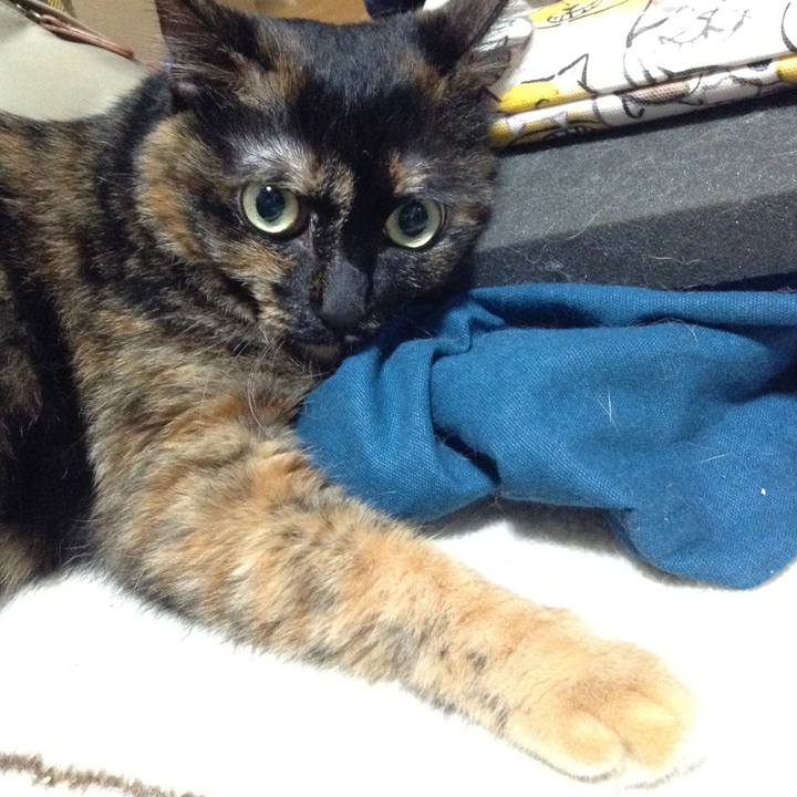 1b90f718 05a9 4999 860a fb2cd7abda28