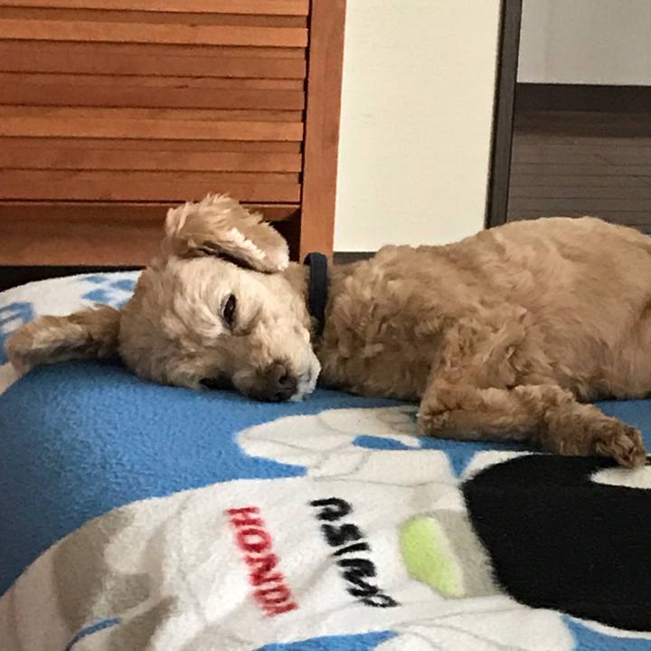 1b9153a2 9ab8 47cc 80d8 72debaba9420