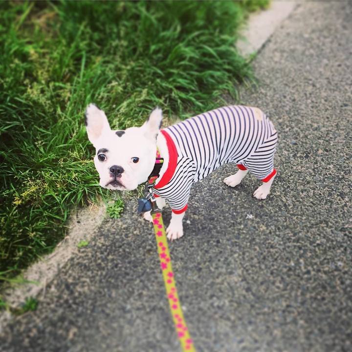 1b916aa4 9893 4f58 96ad a64853a665b6