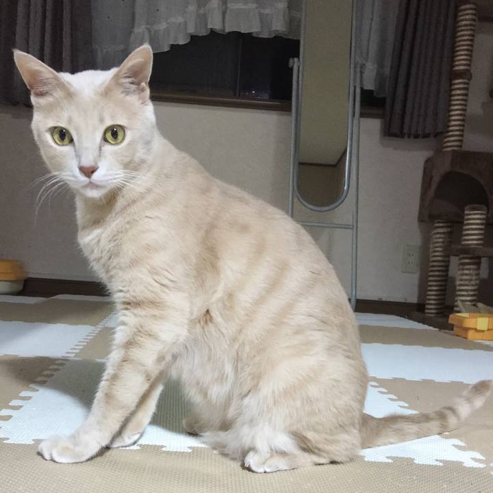 1b91fc17 4370 444e ab17 0a2846caa9e6