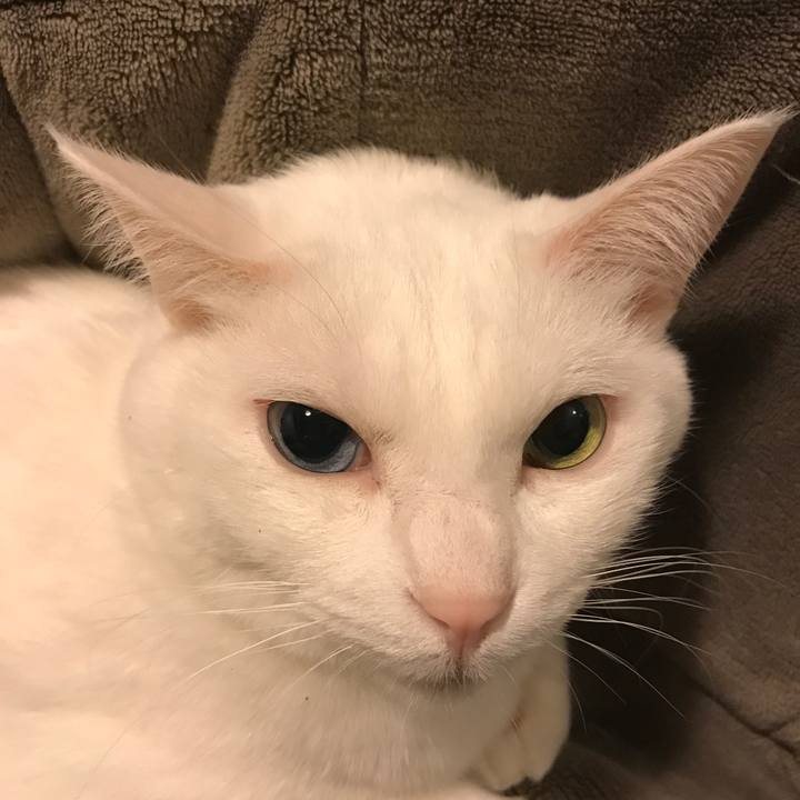 1b9299d5 e980 4e13 89e6 c7bb2c7243be