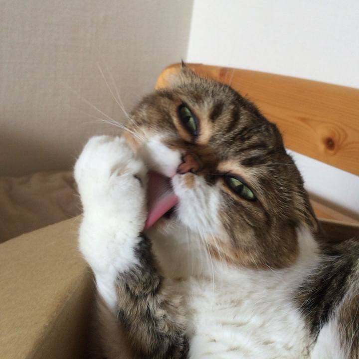 1b92e90c 0d10 4311 8fcc 7e2590a2428b