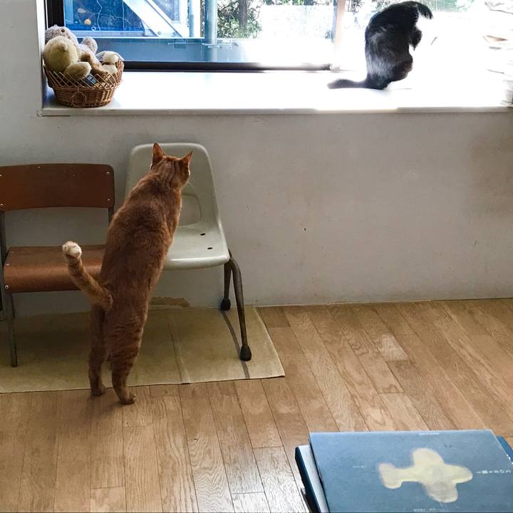 1b93b725 5e33 4d33 811c b28babc51845