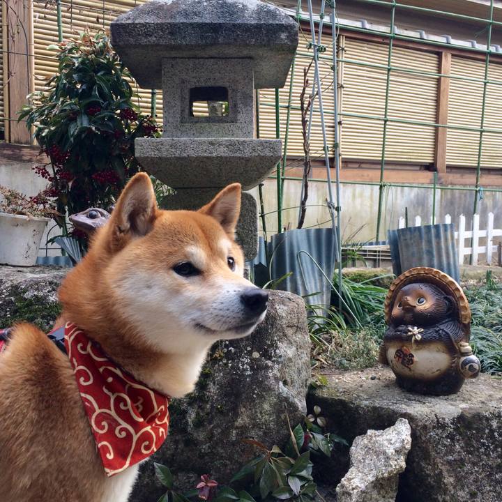 1b93d70d e892 4823 9d8e b53a5112b61d