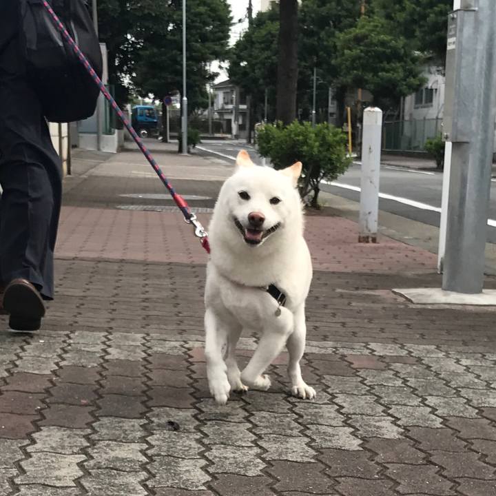 1b941e6a 2ea9 4846 a8c0 06d2c6d9c273