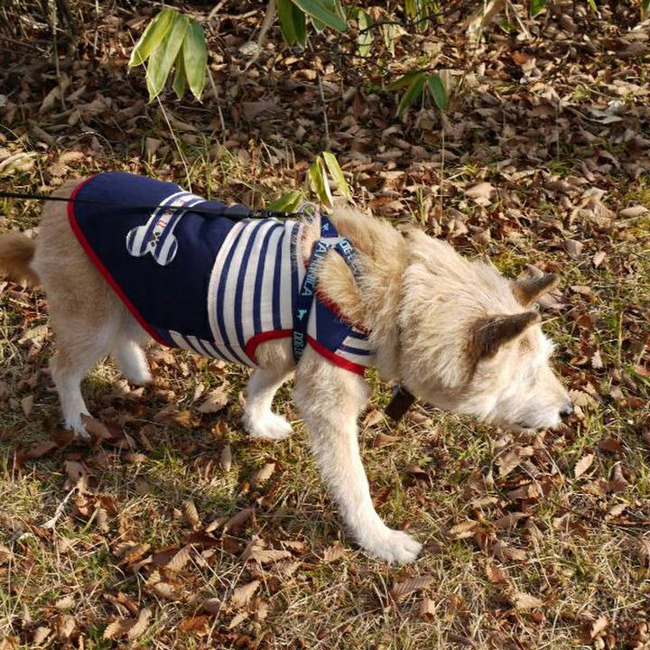 1b94335e 2449 4b96 a716 4063858f99ea